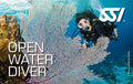 Open Water Diver.jpg