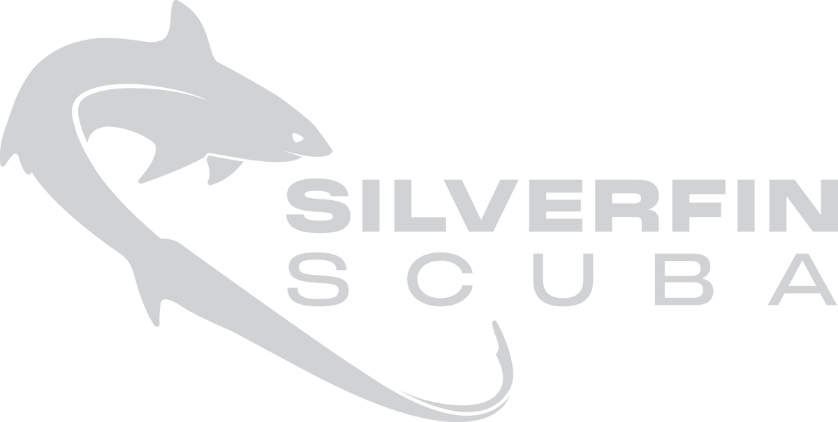Silverfin Scuba Diving Pvt. Ltd. 